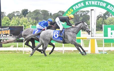 Improving filly impresses with maiden win