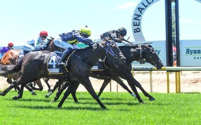 “Fox” charges late to land prize at Benalla
