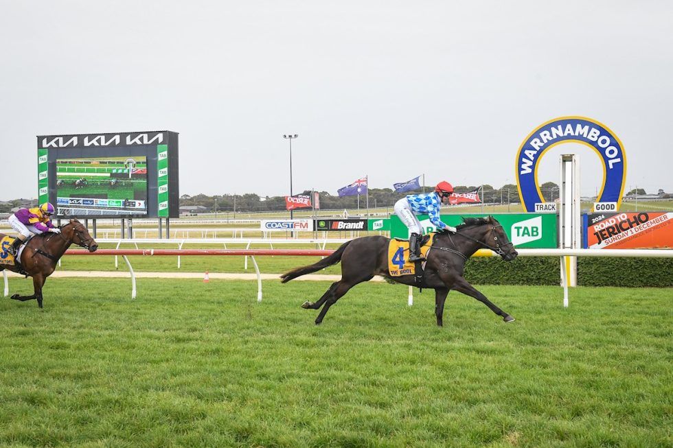 Easy Jay shakes Warrnambool track record - Malady Racing