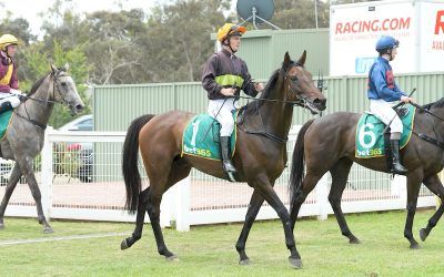 Boyfromwye sustains stunning burst from last