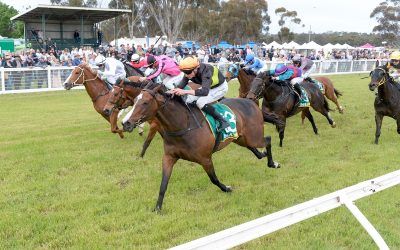 Shortcut pays off for Chelsea Toff