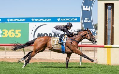 Aka Daka finishes the year on a high note