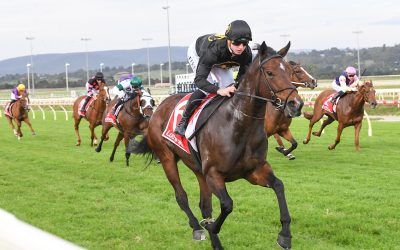 Easy maiden win for Regina Dei Re