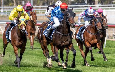 Easter success for Darating