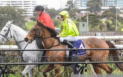 Lighter Brown Claim’s Aurie’s Star