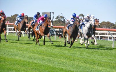 A Jolly Five at Vignerons Cup Day