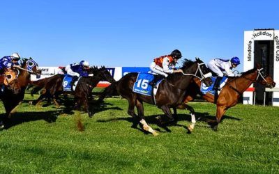 Bit of a rebel wins 2024 Mindarie Halidon Cup