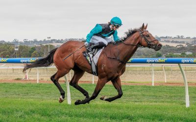 Limited Risk wins Vignerons Cup at Strathalbyn