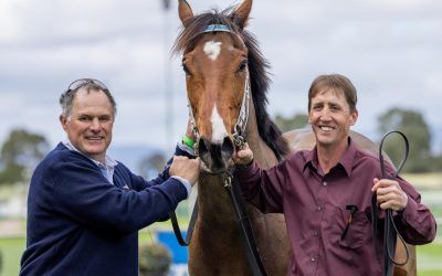 $6000 mare lands milestone win for new partners