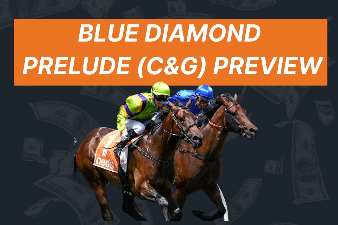 2022 Blue Diamond Prelude (C&G) Breeding Preview The Mailbag Bloodstock