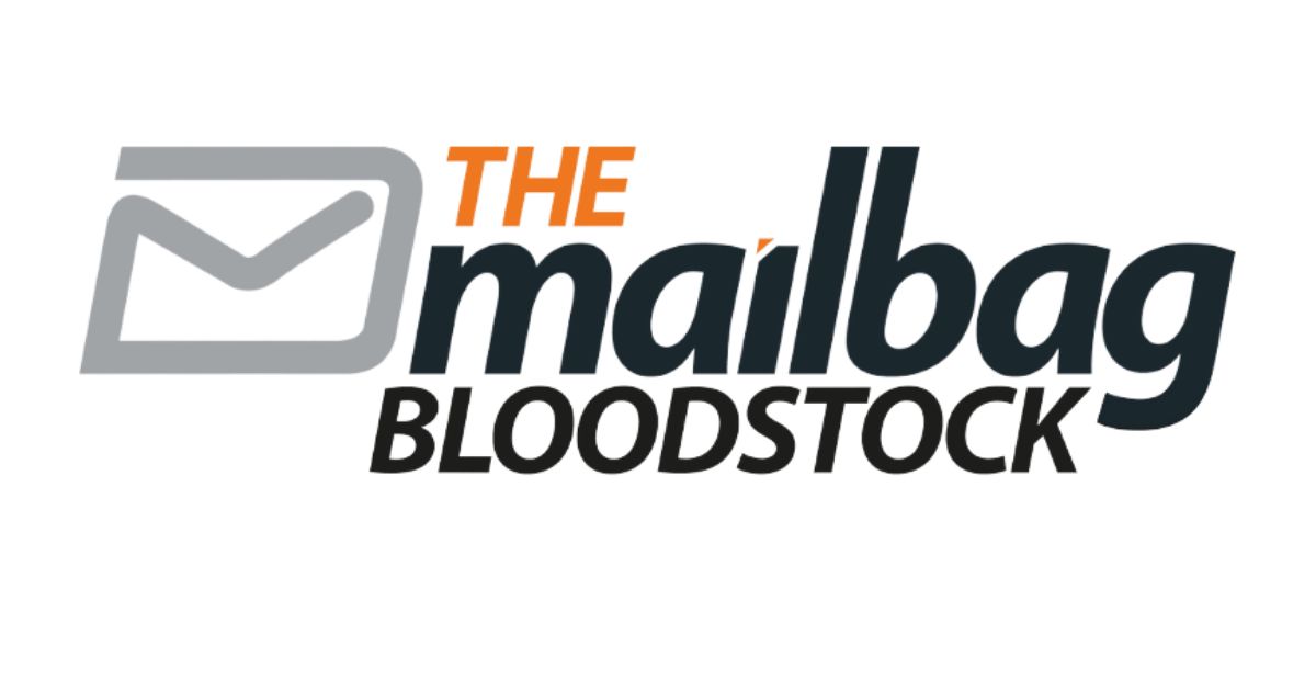 Horses Available The Mailbag Bloodstock