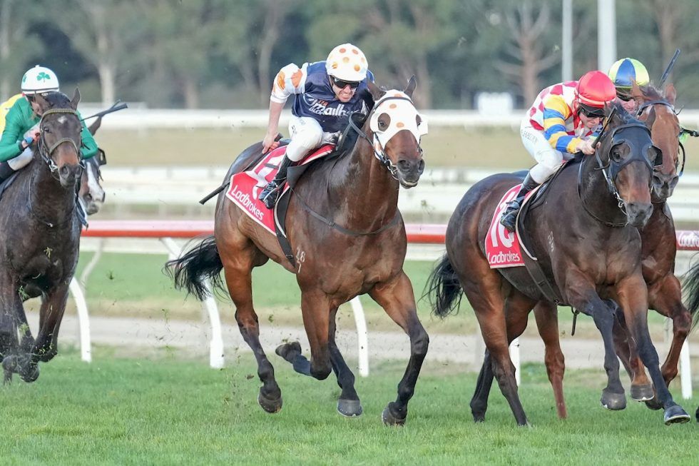 Profile The Mailbag Bloodstock