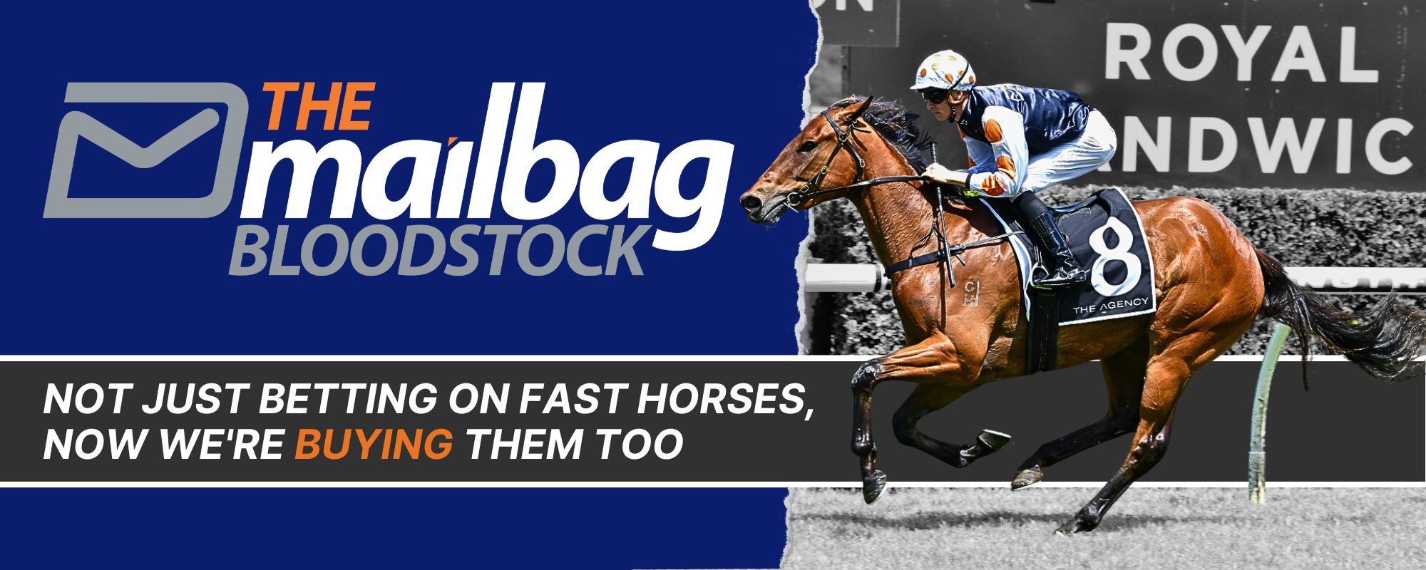 Home The Mailbag Bloodstock