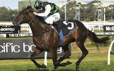 Group 1s addictive for Williams