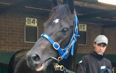 Ambitious Sydney-bound for Tancred