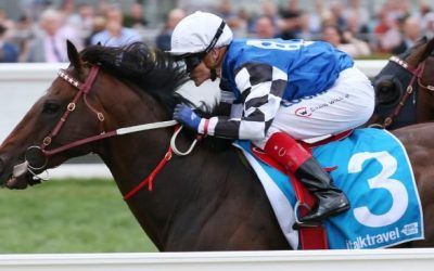 Triple G1 hopes for Australian Bloodstock