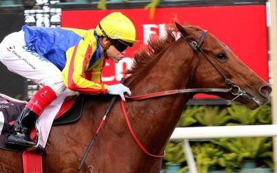 Craig Williams on Spieth in Doomben 10,000