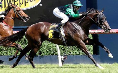 Noblet chasing the Cash again with Super in UBET Classic 2018