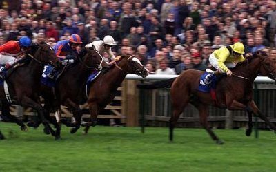 Dewhurst winner and Derby third Tobougg dies at stud aged 20