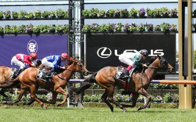 Pure Scot lands her first Flemington win