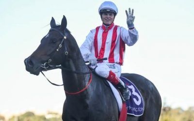 Queensland Guineas option for Zoutori