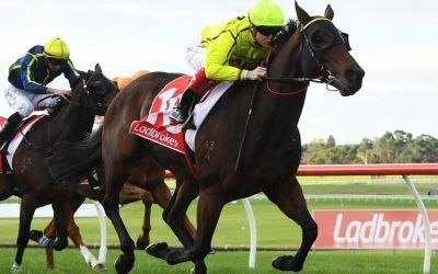 Connery shows his class in Sandown victory