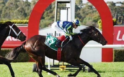 Excused delivered what Hayes expected in Wednesday’s Yulong Handicap