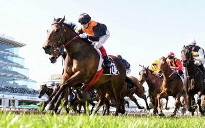 Rox The Castle takes step to stakes grade