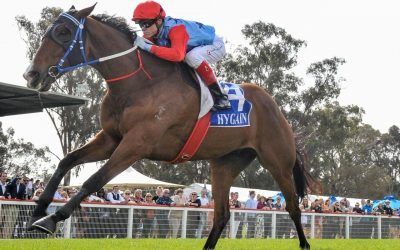 Flemington Group Ones on radar for Seymour Cup winner