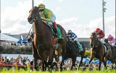 Dr Drill wins Cranbourne Cup