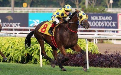 Freedman and Williams combine in Dester Singapore Gold Cup