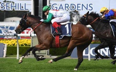 Castelvecchio’s Rosehill Guineas