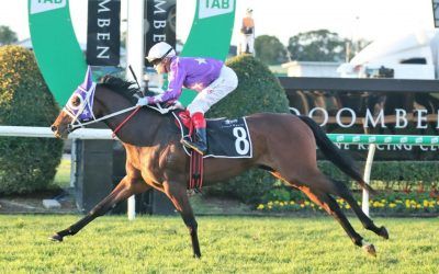 Only Words comes up Roses at Doomben