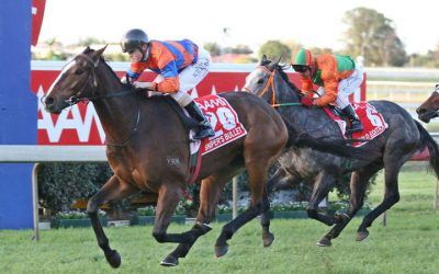 2007 Stradbroke Handicap :: Sniper’s Bullet