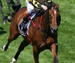 2006 Thousand Guineas : Miss Finland
