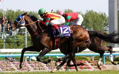 2010 Spring Tenno Sho :: Jaguar Mail