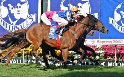 2006 Cox Plate :: Fields Of Omagh