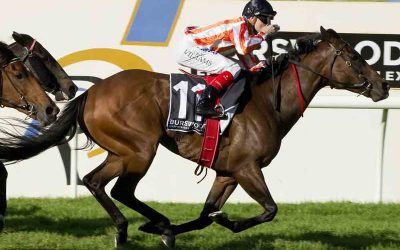 2011 Winterbottom Stakes :: Ortensia
