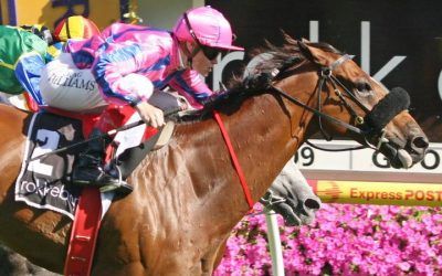 2009 Futurity Stakes :: Niconero