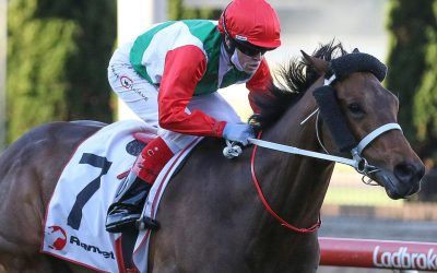 Pancho dominant in Moonee Valley win