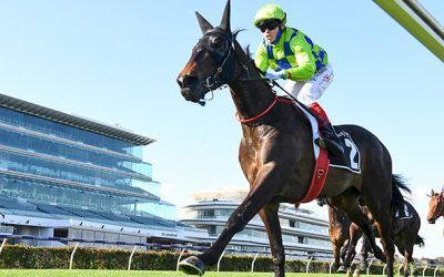 Barb’s bonus after Guineas