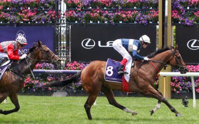 Designer Chef relishes distance rise at Flemington