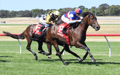 Gate Crash – Sandown