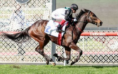 Mr Brightside dominant in the Feehan Stakes