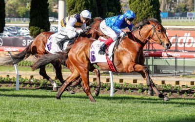 Troach – Moonee Valley