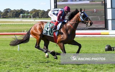 Holster – Ladbrokes Park