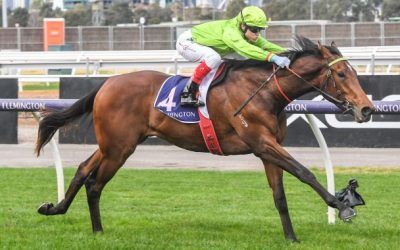 Straight to the Caulfield Guineas