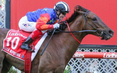 Bella Nipotina secures her first G1