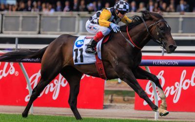 Perfect Thought Wins The Carbine Club Stakes
