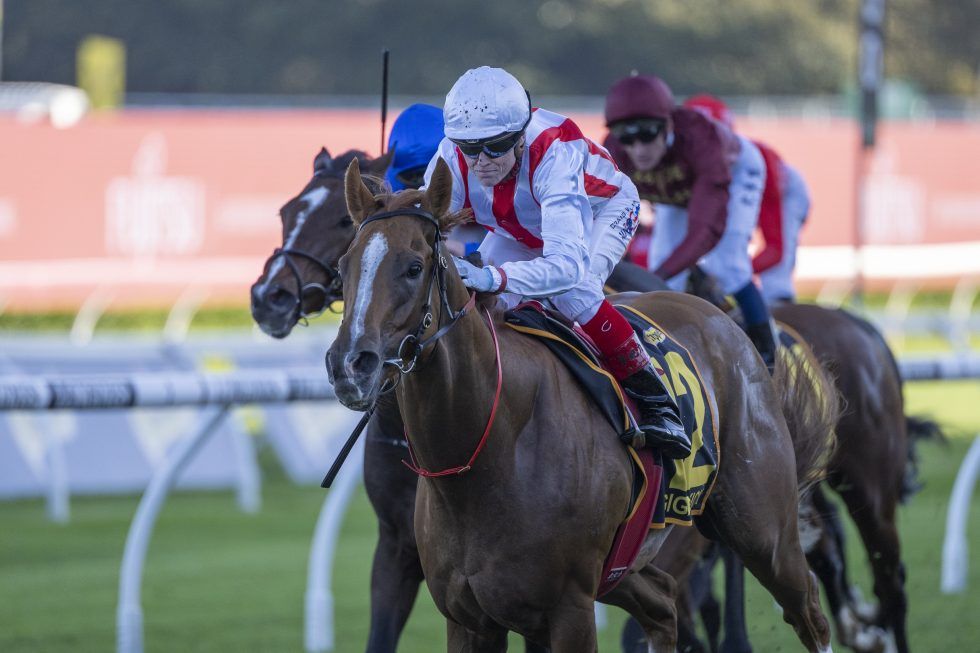 Giga Kick gets his Group 1 Victory Craig Williams Giga Kick gets his Group 1 Victory Craig Williams